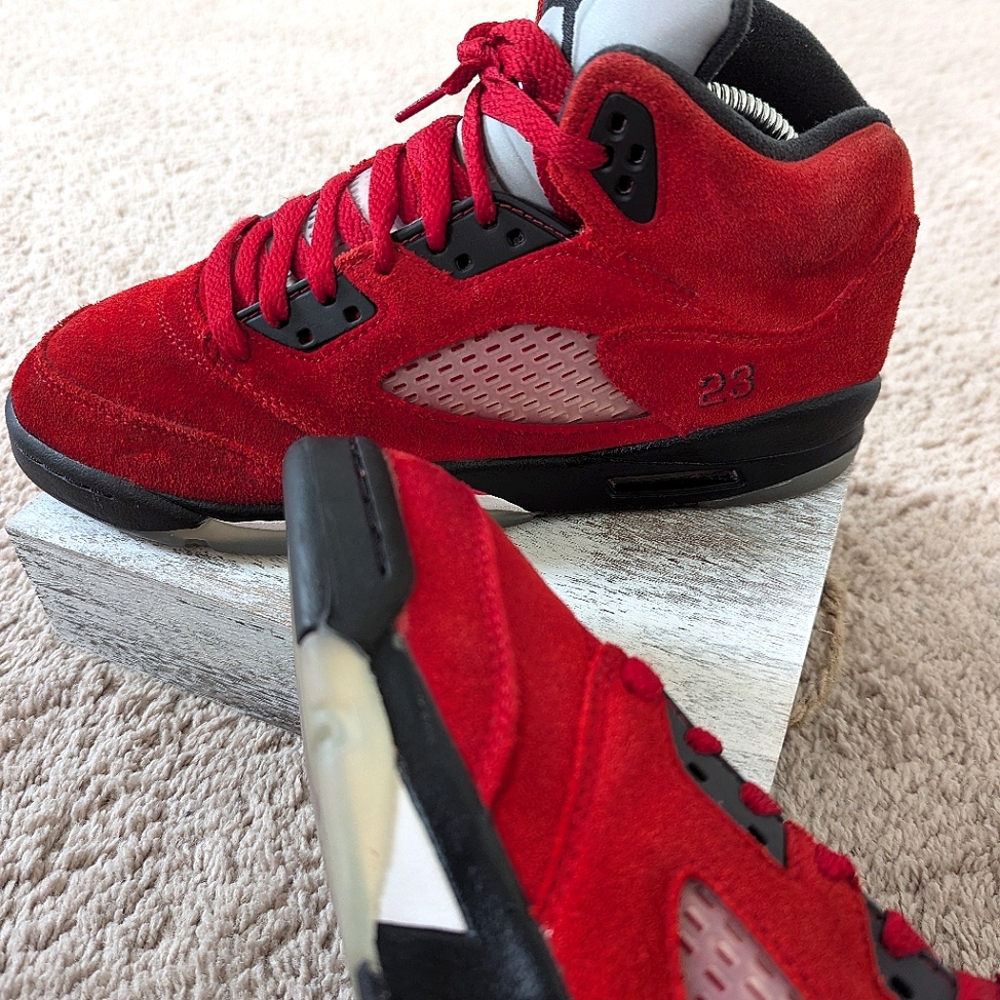 Air Jordan 4 "Raging Bull"